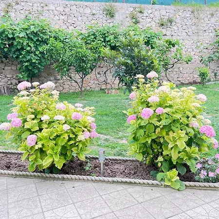 Kasmi 2 * Krujë
